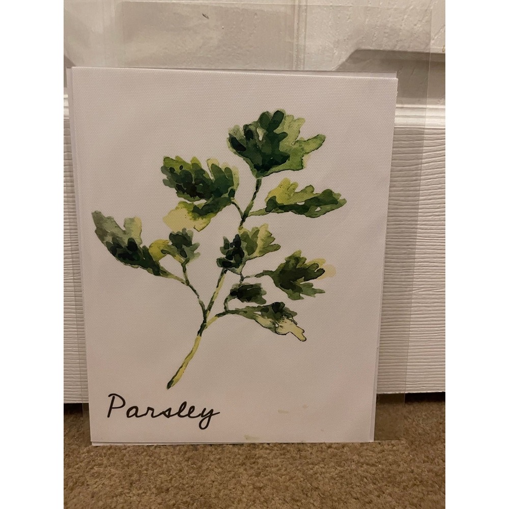 Parsley Herb Botanical Watercolor Art Print Green White Kitchen Wall Decor